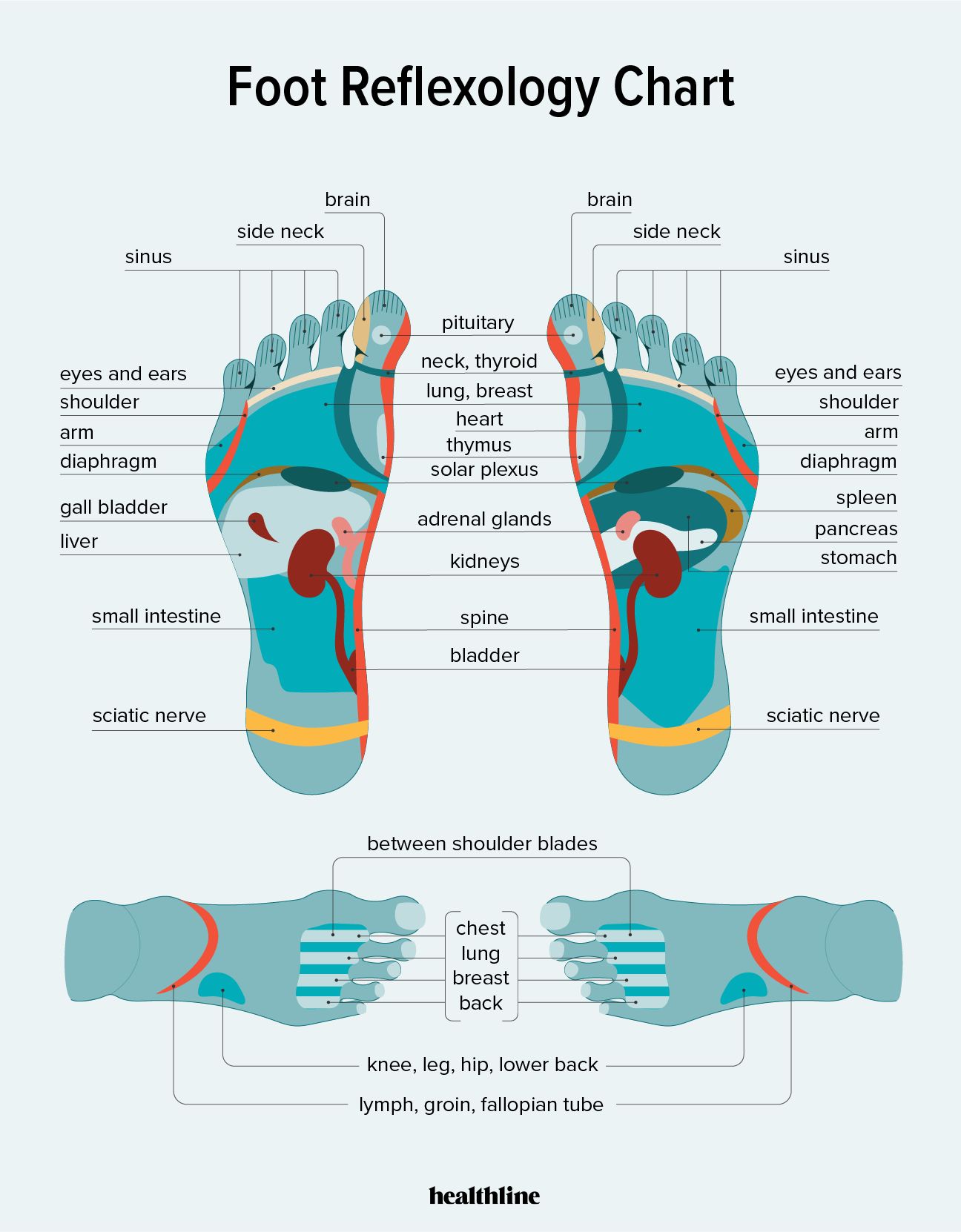 Everything You Need to Know About Foot Reflexology