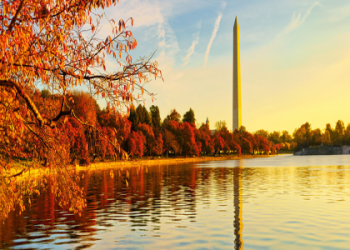 cheap flights to dulles washington dc