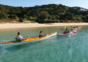 kayak flights explore