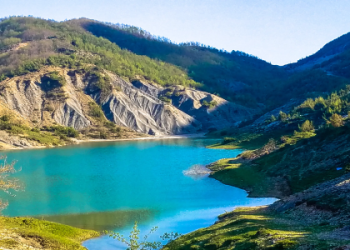 flights to jacksonville fl