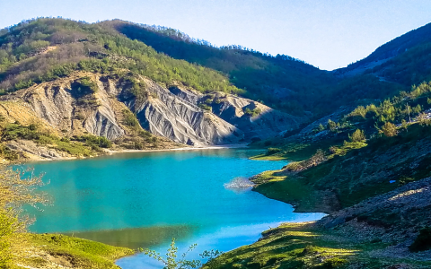 flights to jacksonville fl