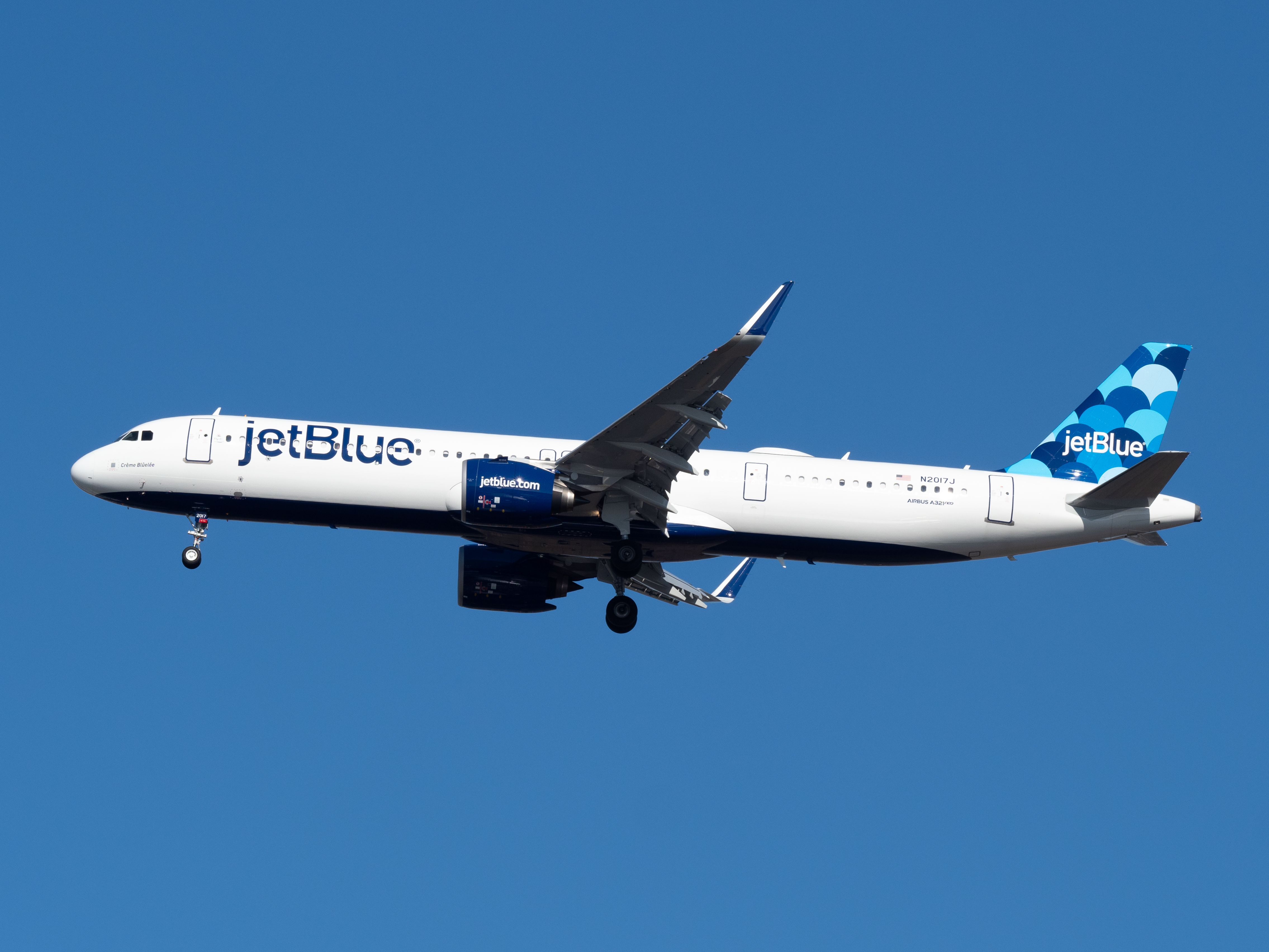 jet blue