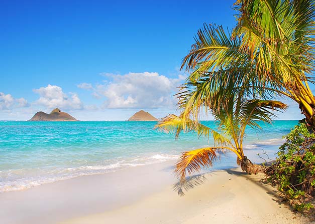 affordable vacation packages to hawaii