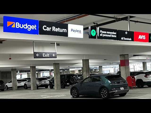 cheap car rentals lax