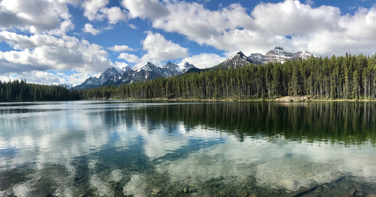 plane tickets to alberta canada